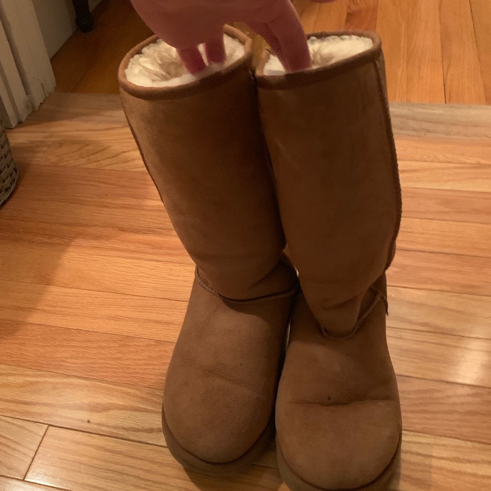 Tall Chestnut Uggs Women’s 7